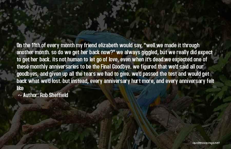 Friend Hurt Quotes By Rob Sheffield