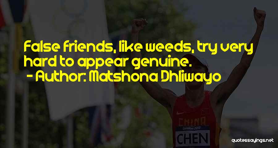 Friend Like Enemy Quotes By Matshona Dhliwayo