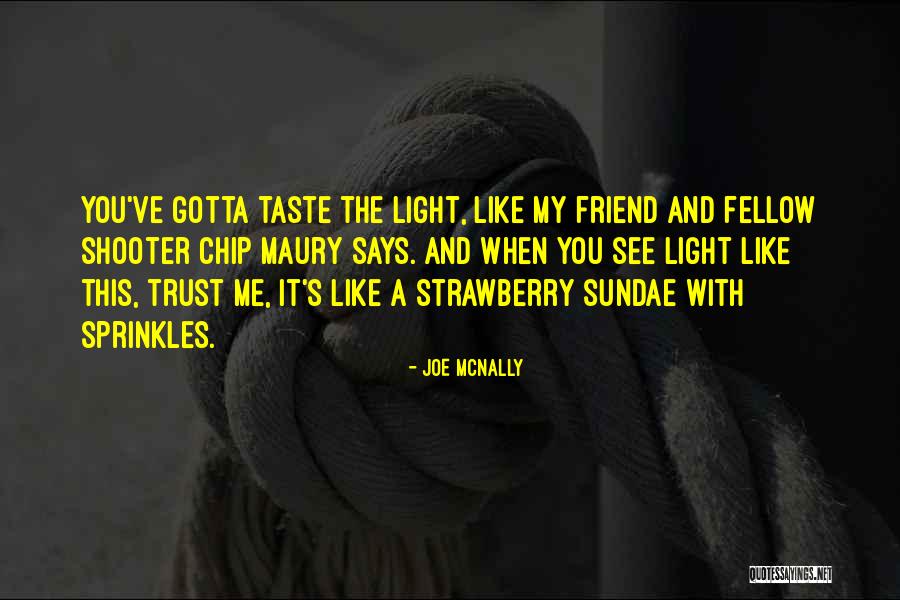 Friend Like You Quotes By Joe McNally Friend Like You Quotes By Joe McNally