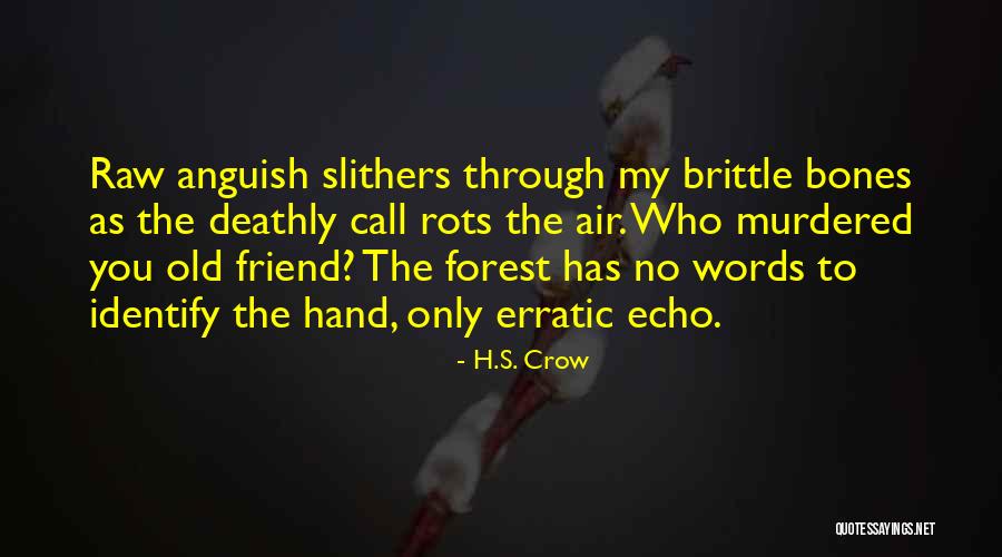Friend Murdered Quotes By H.S. Crow Friend Murdered Quotes By H.S. Crow