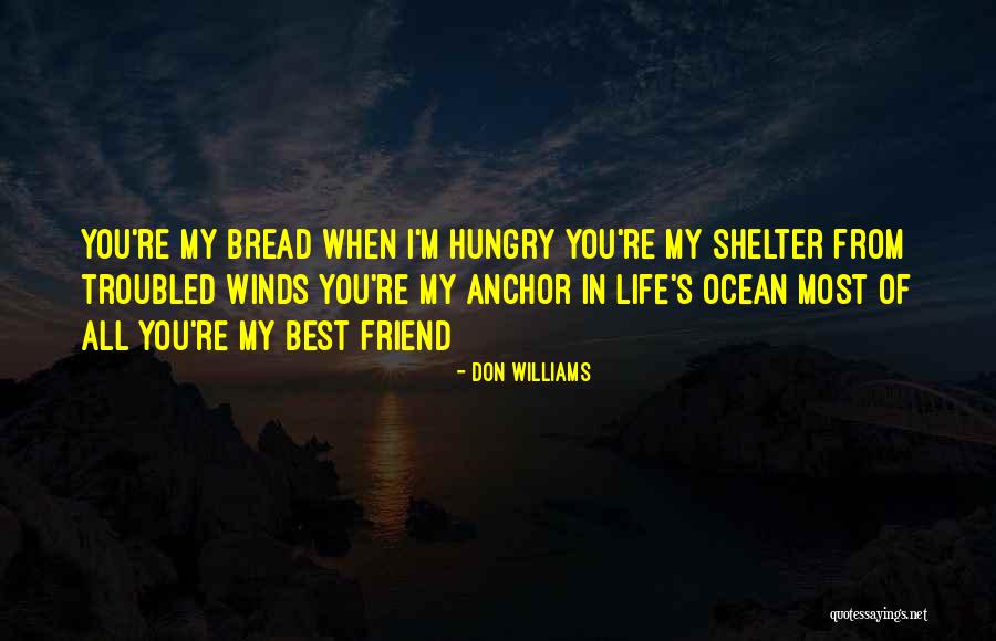 Friend My Life Quotes By Don Williams Friend My Life Quotes By Don Williams