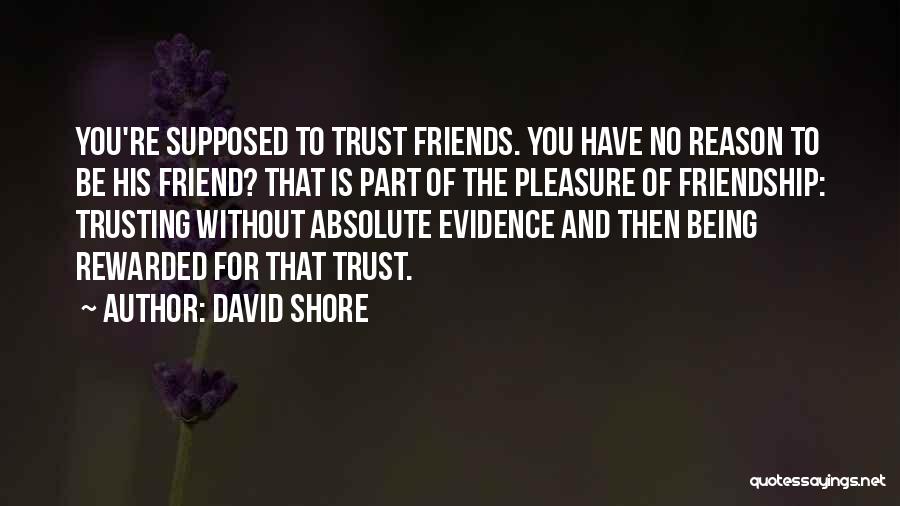 Friend No Trust Quotes By David Shore