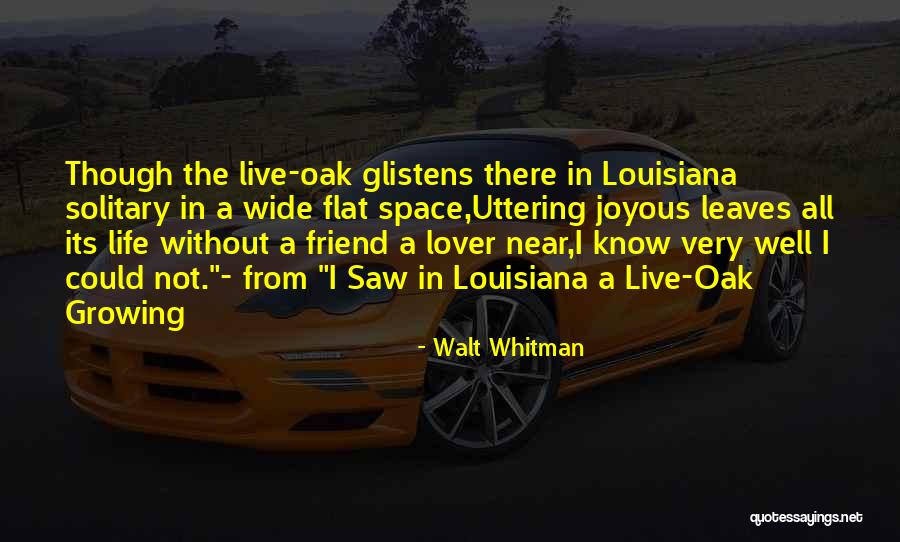 Friend Not Lover Quotes By Walt Whitman Friend Not Lover Quotes By Walt Whitman