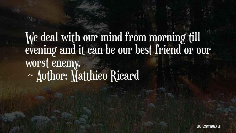 Friend Or Enemy Quotes By Matthieu Ricard