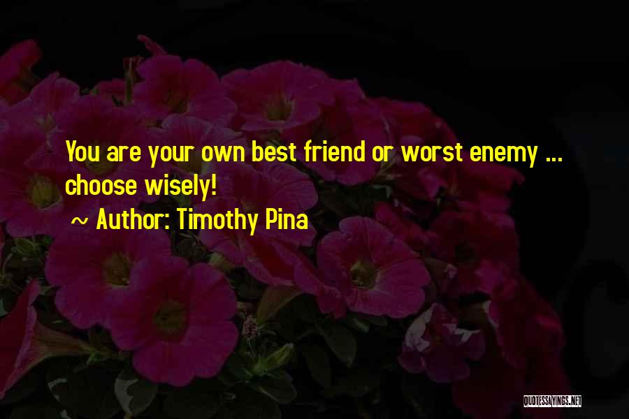 Friend Or Enemy Quotes By Timothy Pina