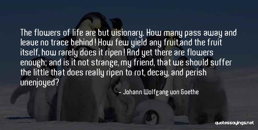 Friend Pass Away Quotes By Johann Wolfgang Von Goethe Friend Pass Away Quotes By Johann Wolfgang Von Goethe
