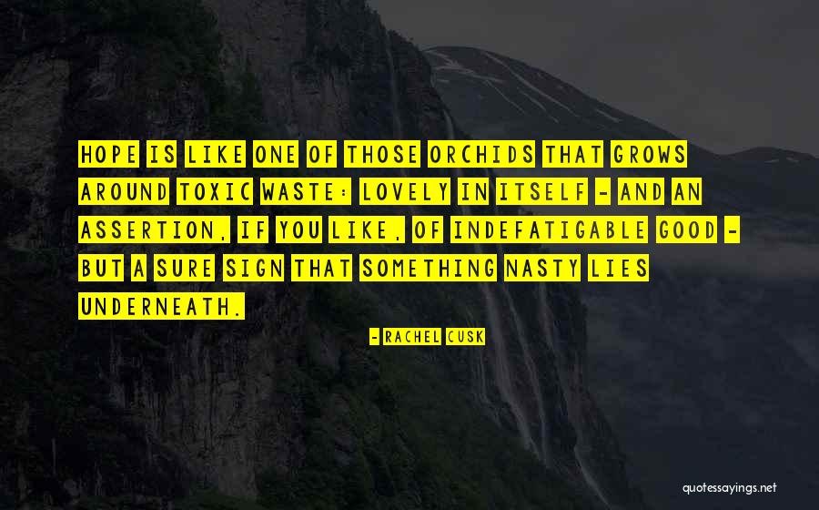 Friend Stoner Quotes By Rachel Cusk Friend Stoner Quotes By Rachel Cusk