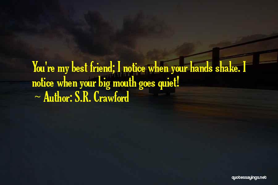 Friend Support Quotes By S.R. Crawford
