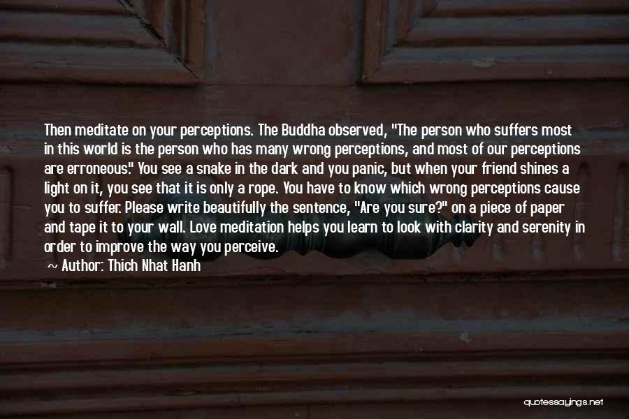 Friend That You Love Quotes By Thich Nhat Hanh