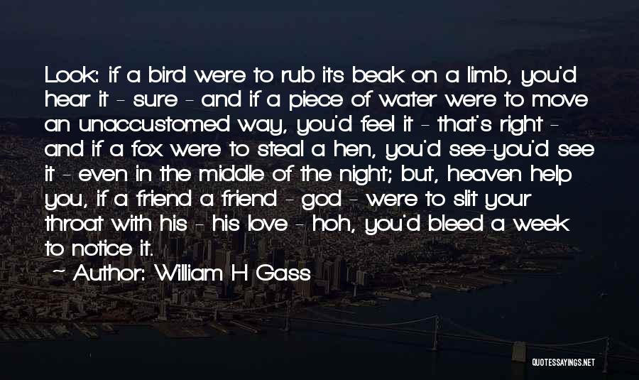 Friend That You Love Quotes By William H Gass