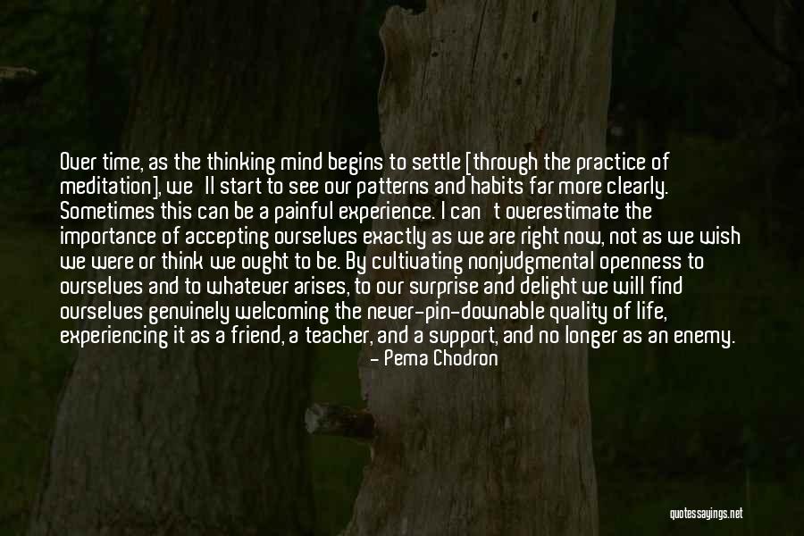 Friend Will Never Support Quotes By Pema Chodron Friend Will Never Support Quotes By Pema Chodron