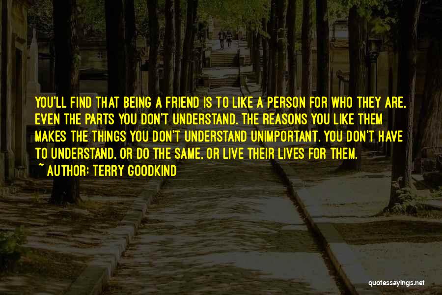 Friend You Like Quotes By Terry Goodkind