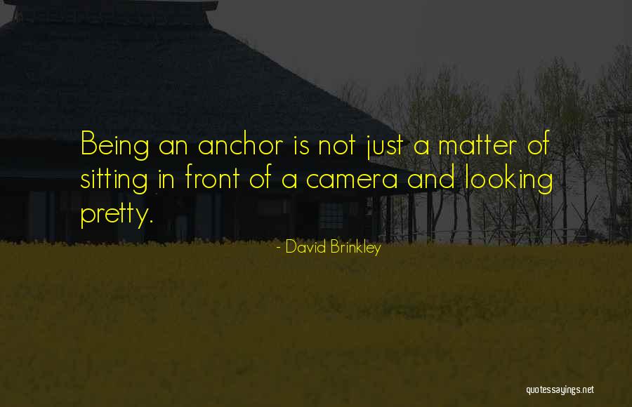 Friended With The Casagrandes Quotes By David Brinkley