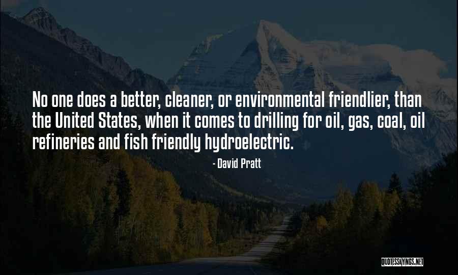 Friendlier Or More Friendly Quotes By David Pratt