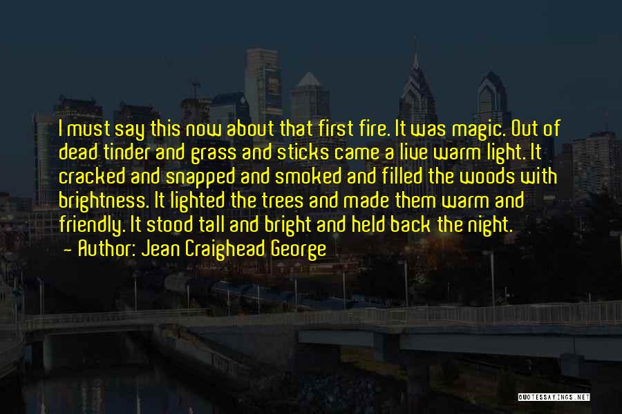 Friendly Fire Quotes By Jean Craighead George