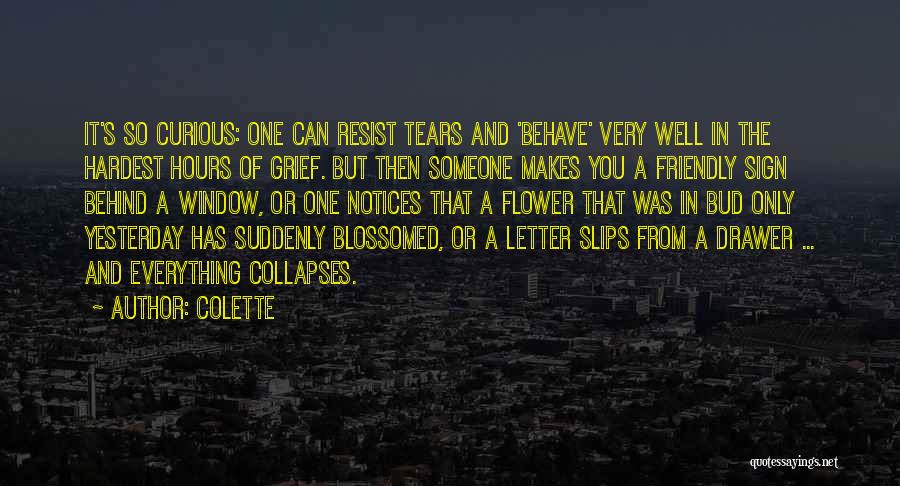 Friendly Letter Quotes By Colette