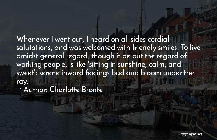 Friendly Smiles Quotes By Charlotte Bronte