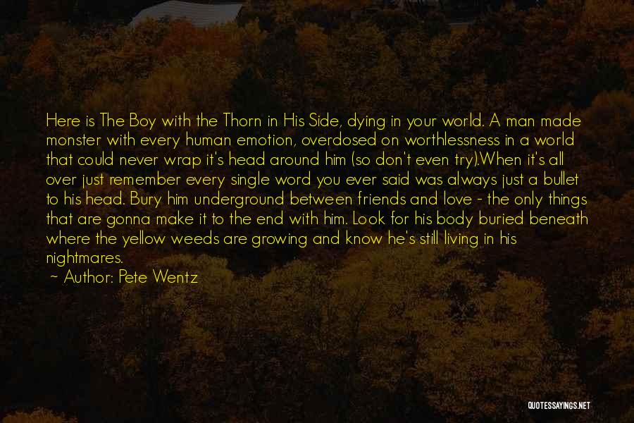 Friends All Over The World Quotes By Pete Wentz