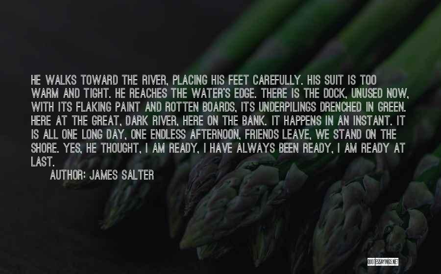 Friends Always Here Quotes By James Salter