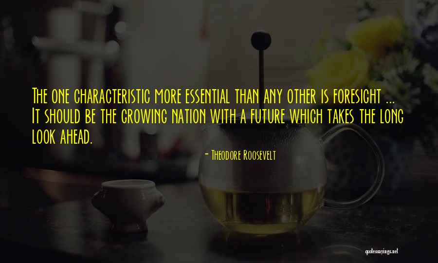 Friends And Bonfires Quotes By Theodore Roosevelt Friends And Bonfires Quotes By Theodore Roosevelt