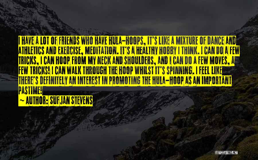 Friends And Exercise Quotes By Sufjan Stevens