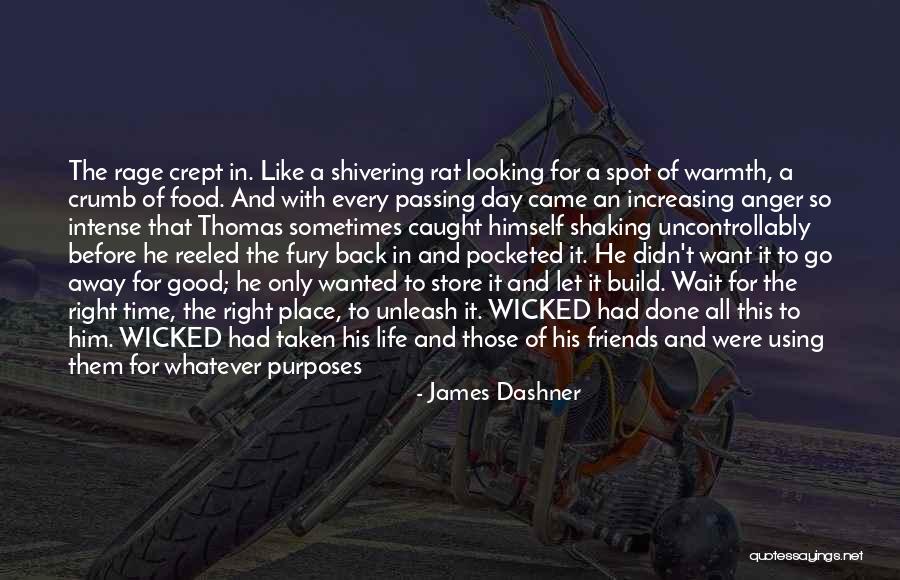 Friends And Food Quotes By James Dashner