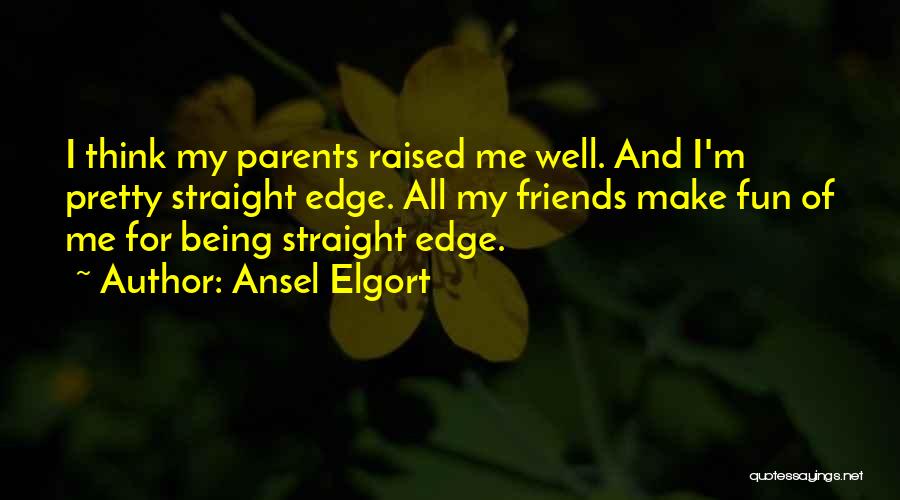 Friends And Fun Quotes By Ansel Elgort