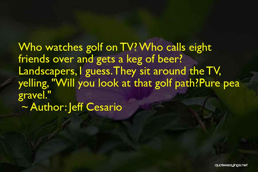 Friends And Golf Quotes By Jeff Cesario