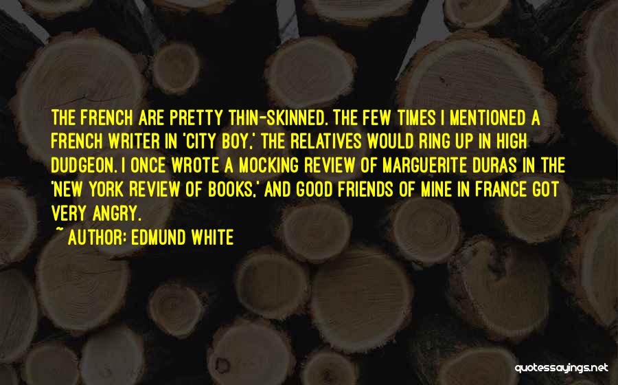 Friends And Good Times Quotes By Edmund White