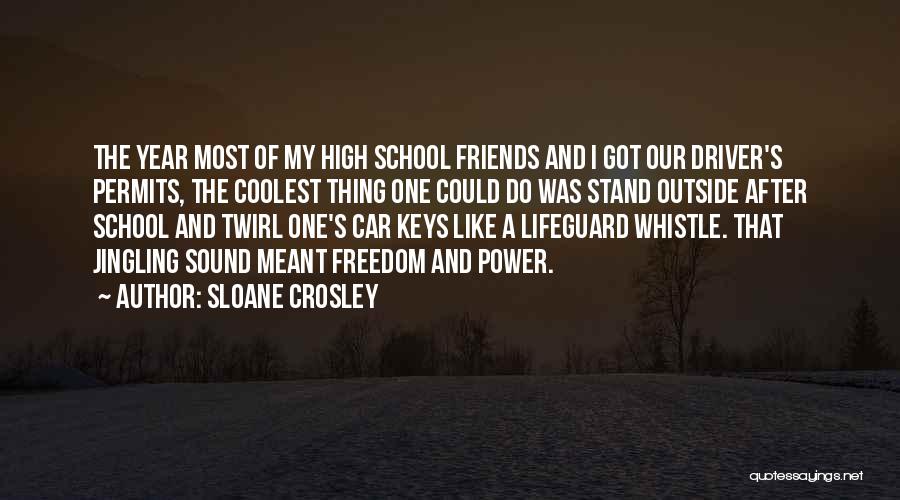 Friends And High School Quotes By Sloane Crosley