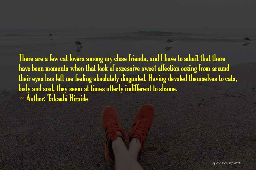 Friends And Lovers Quotes By Takashi Hiraide