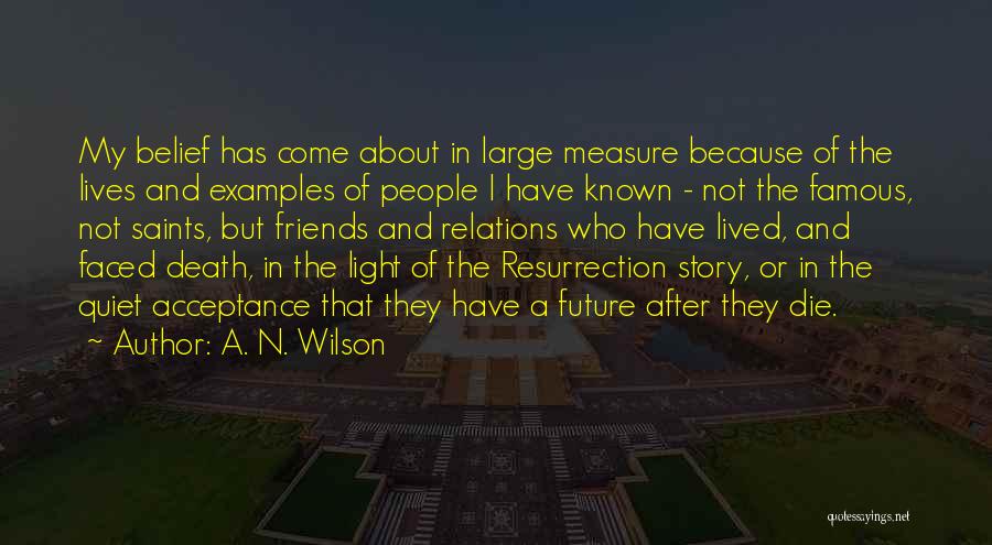 Friends And Relations Quotes By A. N. Wilson