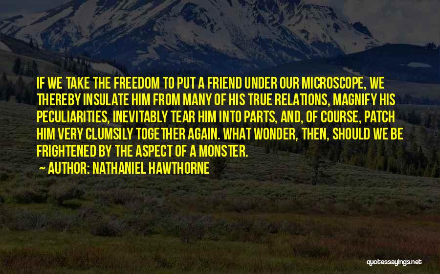 Friends And Relations Quotes By Nathaniel Hawthorne