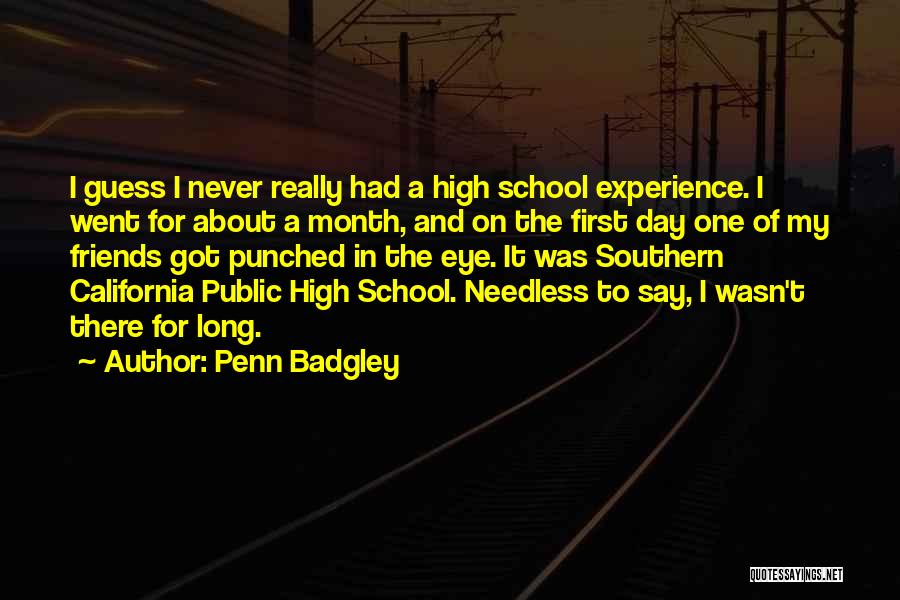 Friends And School Quotes By Penn Badgley