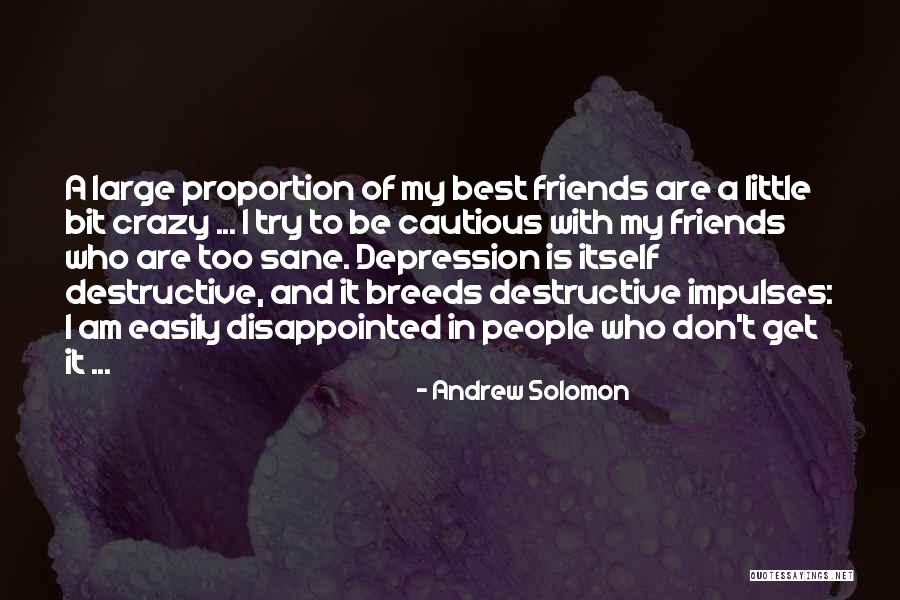 Friends Are Crazy Quotes By Andrew Solomon Friends Are Crazy Quotes By Andrew Solomon