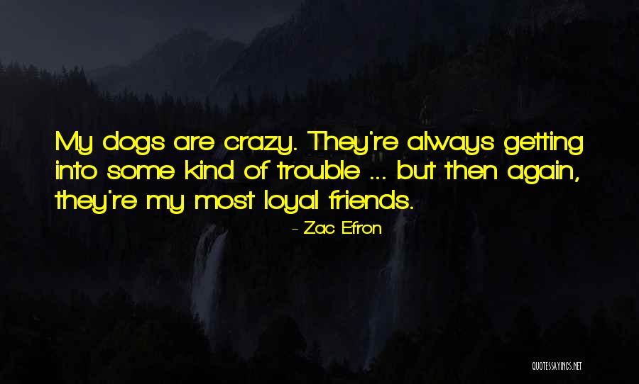 Friends Are Crazy Quotes By Zac Efron Friends Are Crazy Quotes By Zac Efron