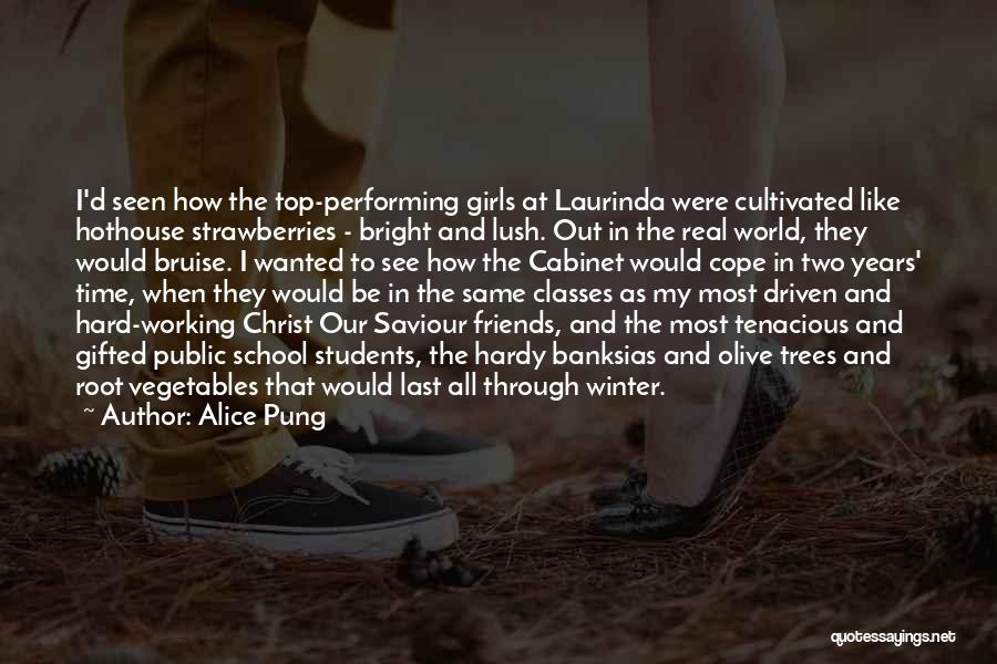 Friends Are Like Trees Quotes By Alice Pung