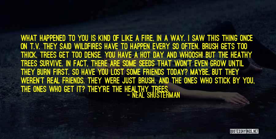 Friends Are Like Trees Quotes By Neal Shusterman