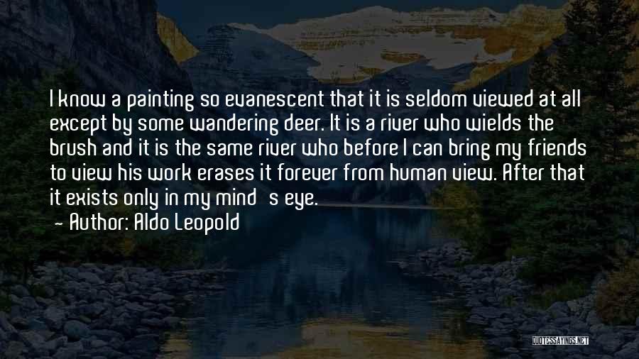 Friends At Work Quotes By Aldo Leopold