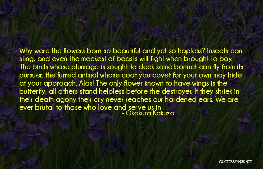 Friends Becoming Love Quotes By Okakura Kakuzo Friends Becoming Love Quotes By Okakura Kakuzo