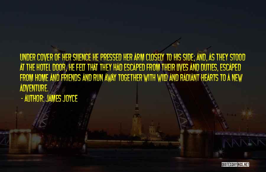 Friends By My Side Quotes By James Joyce