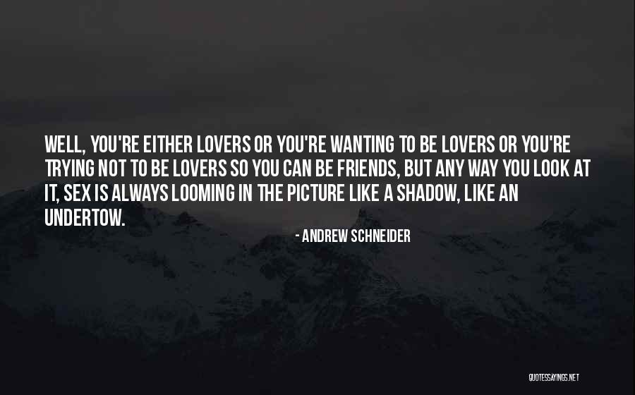 Friends Can Be Lovers But Lovers Can't Be Friends Quotes By Andrew Schneider