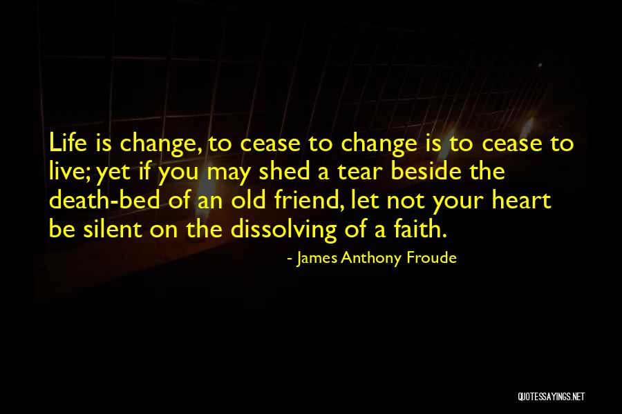 Friends Change You Quotes By James Anthony Froude