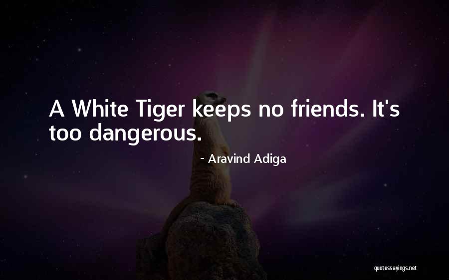 Friends Distrust Quotes By Aravind Adiga Friends Distrust Quotes By Aravind Adiga