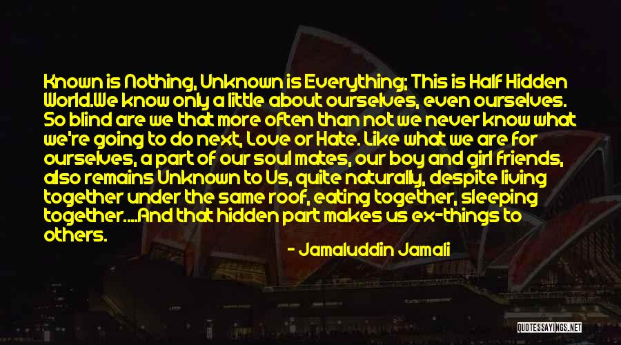 Friends Do Things Together Quotes By Jamaluddin Jamali