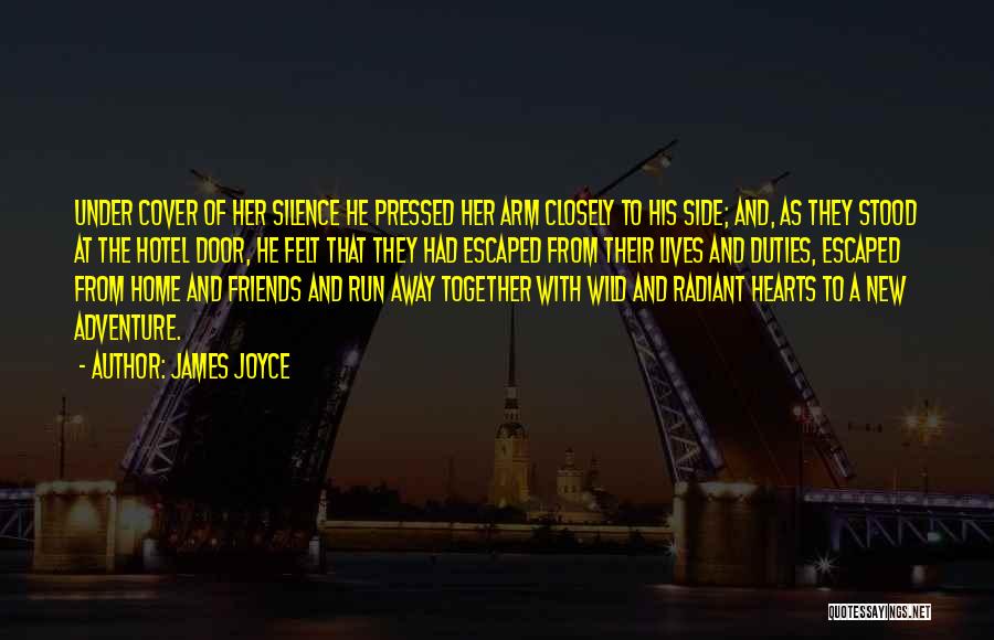 Friends Do Things Together Quotes By James Joyce