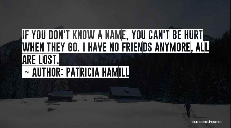 Friends Don't Hurt Friends Quotes By Patricia Hamill