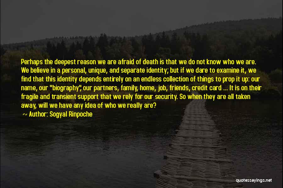 Friends Family And Home Quotes By Sogyal Rinpoche