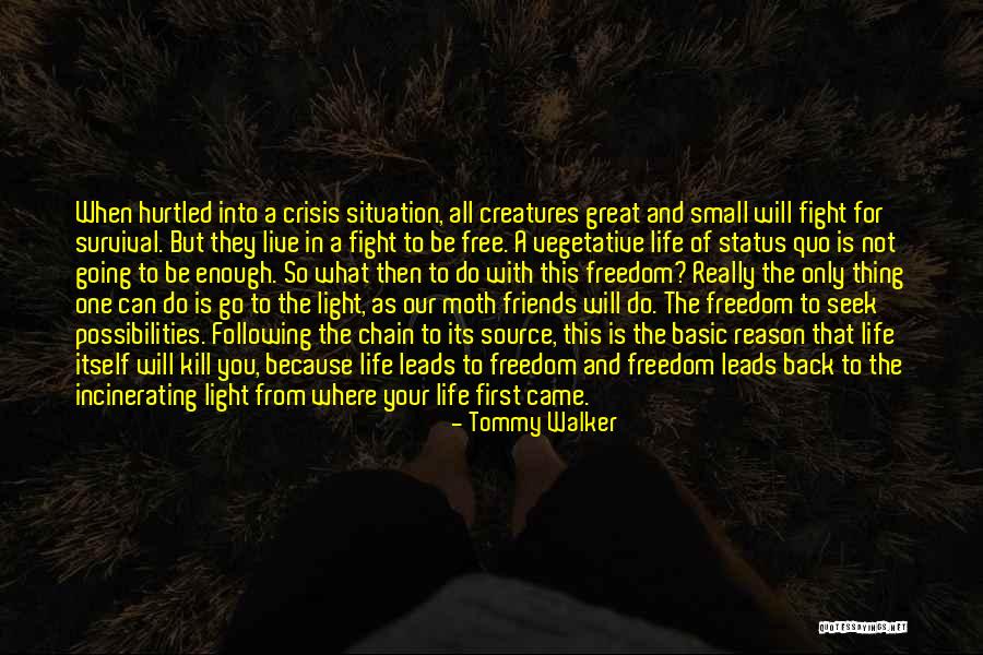 Friends Fight For You Quotes By Tommy Walker Friends Fight For You Quotes By Tommy Walker