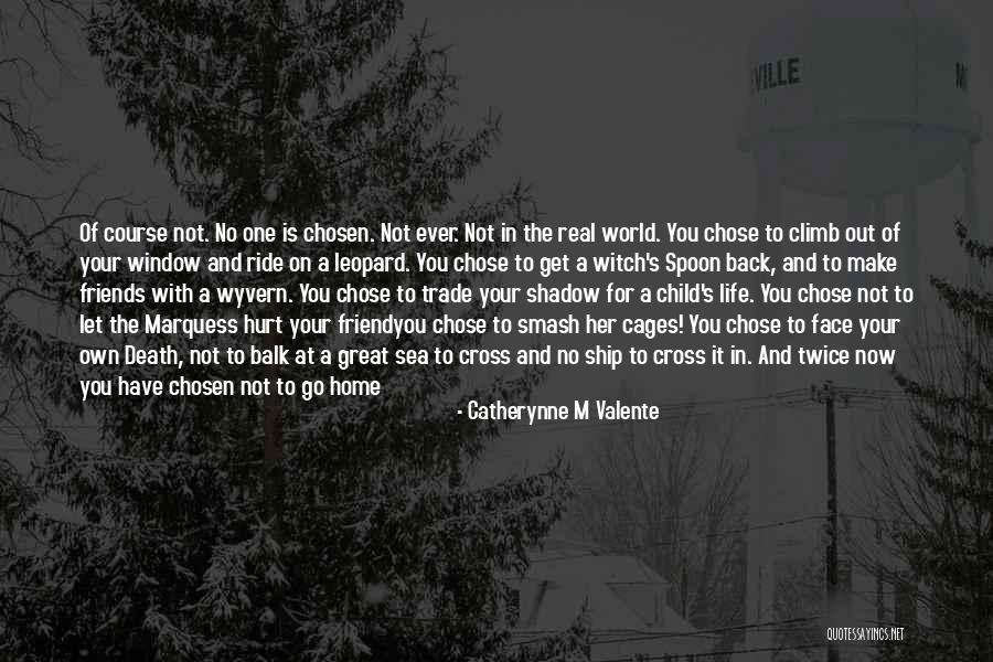 Friends For A Lifetime Quotes By Catherynne M Valente